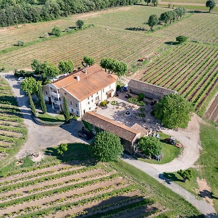 Gite Vert D'Olive Au Milieu Des Vignes - Chateau Les Apies Les Arcs-sur-Argens Exteriör bild